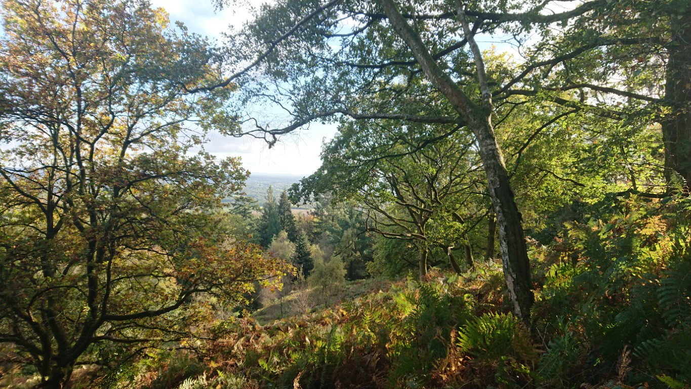 Cycle the Surrey Hills at Leith Hill